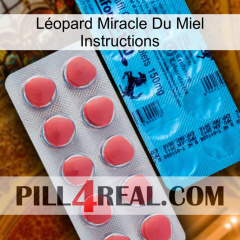 Léopard Miracle Du Miel Instructions new14